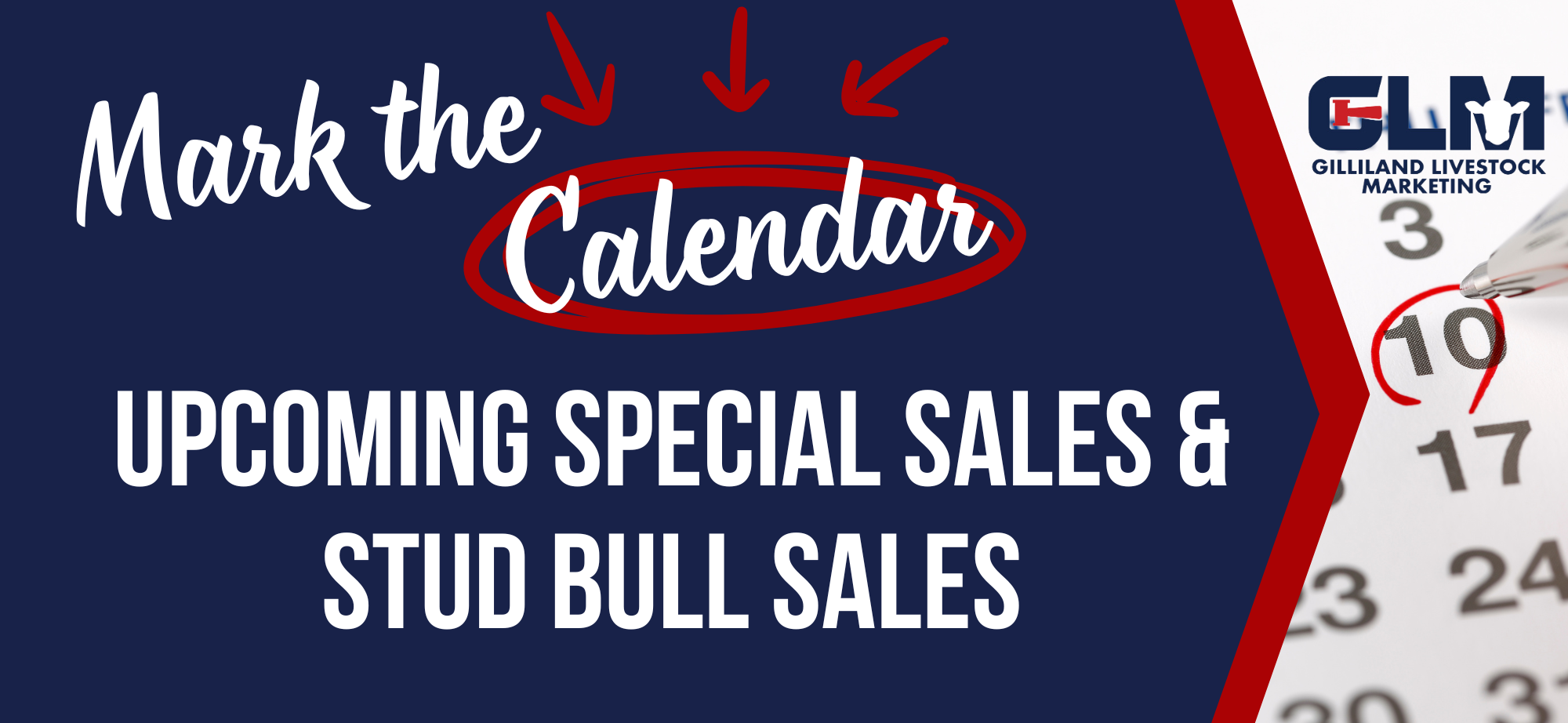 MAILCHIMP TEMPLATE (39)