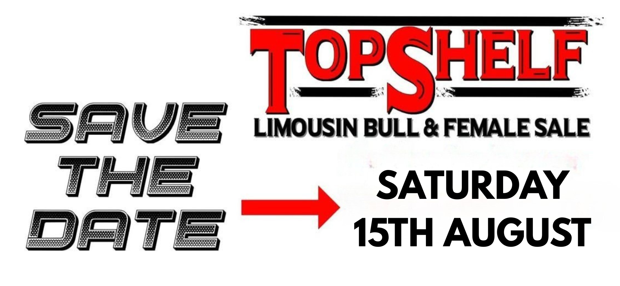 MAILCHIMP TEMPLATE (40)