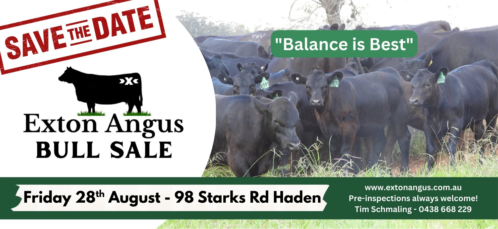 MAILCHIMP TEMPLATE (41)