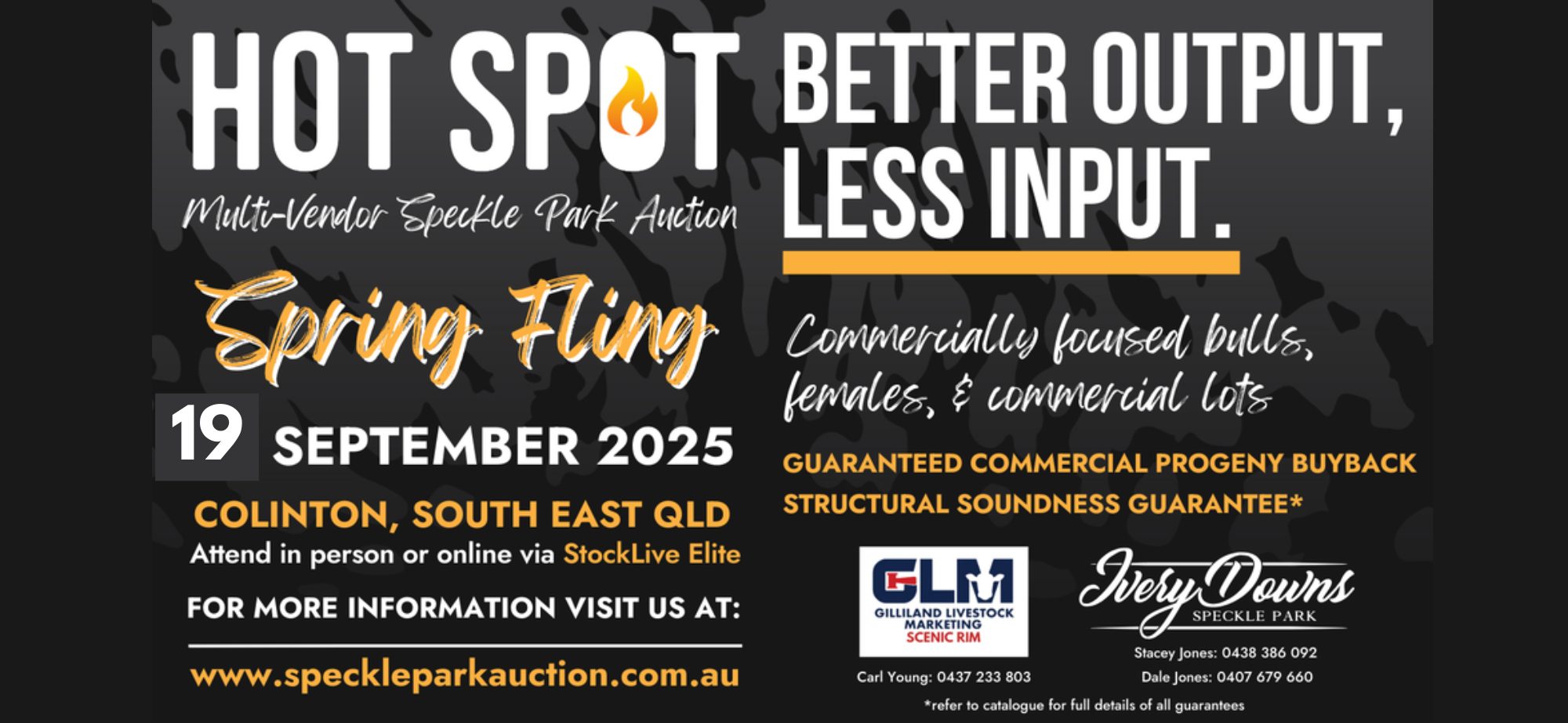 MAILCHIMP TEMPLATE (42)